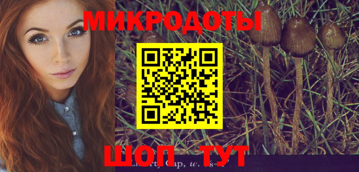 Псилоцибиновые грибы мухоморы  что такое   Ишимбай  Вход с VPN 